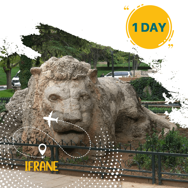 Full Day Trip From Fez To Ifrane